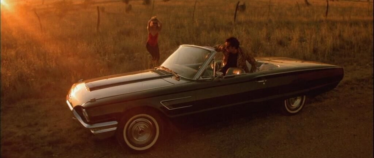 Classics: Wild at Heart
